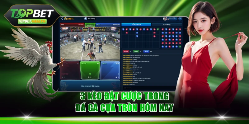 3 kèo đặt cược trong đá gà cựa tròn hôm nay
